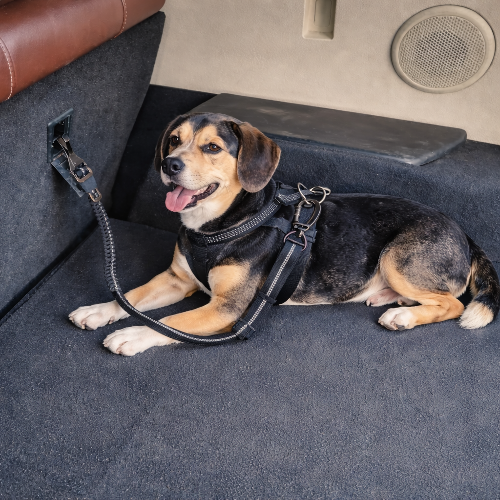 Ceinture Auto sécurité